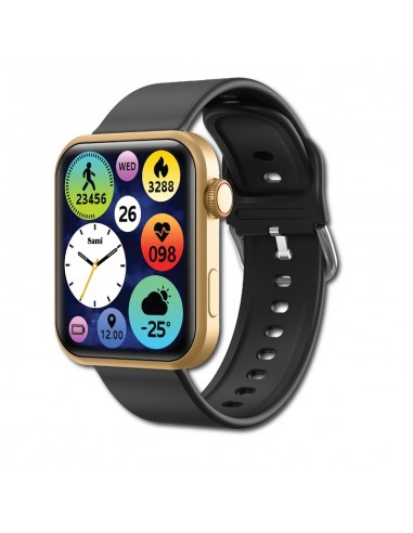 SMARTWATCH SAMI ACTIVIDAD 5 ATM "STREME PRO" NEGRO/GOLD