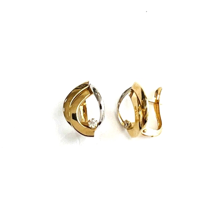PENDIENTES BICOLOR CON CIRCONITA GARRA