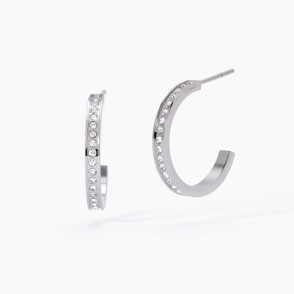 Pendientes de acero 316L cristales