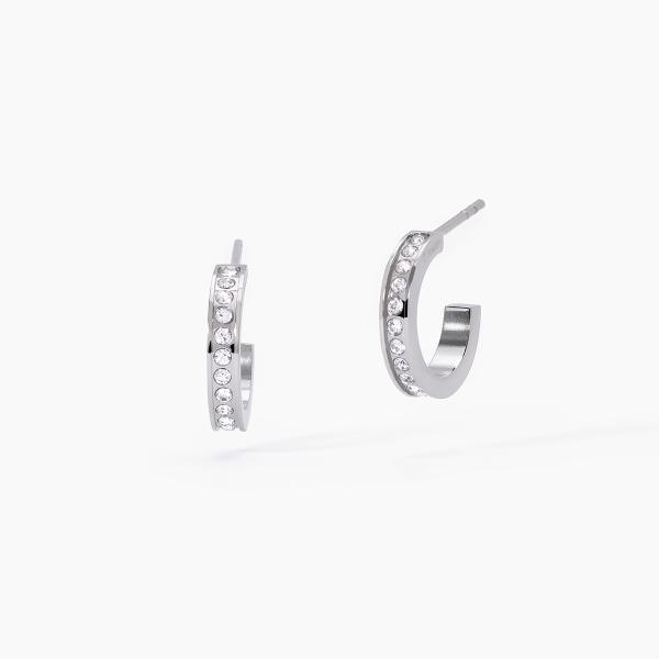 Pendientes de acero 316L cristales