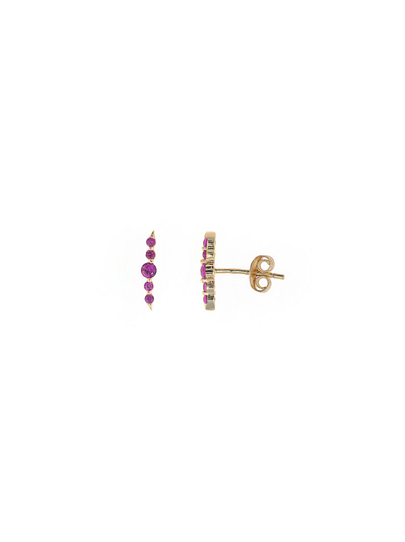 PENDIENTES PLATA CHAPADO DORADO CURVO CIRCONITAS ROSAS SALVATORE